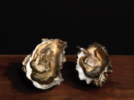Oyster Twins Oyster Twins